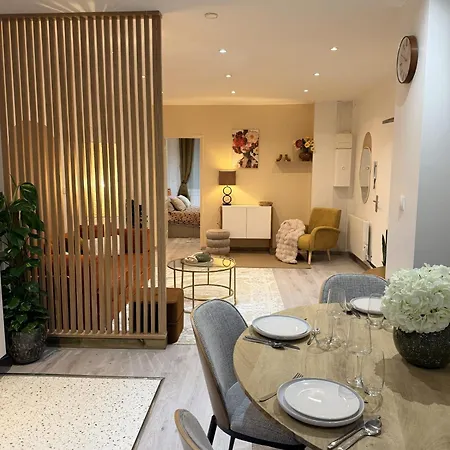 Apartment Le Temps D'un Souffle, Parenthese Elegante Au Coeur De Avec Terrasse Privee Tourcoing