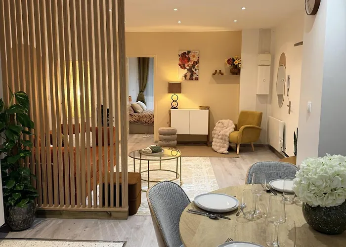 Appartement Le Temps D'un Souffle, Parenthèse élégante Au Cœur De Avec Terrasse Privée Tourcoing